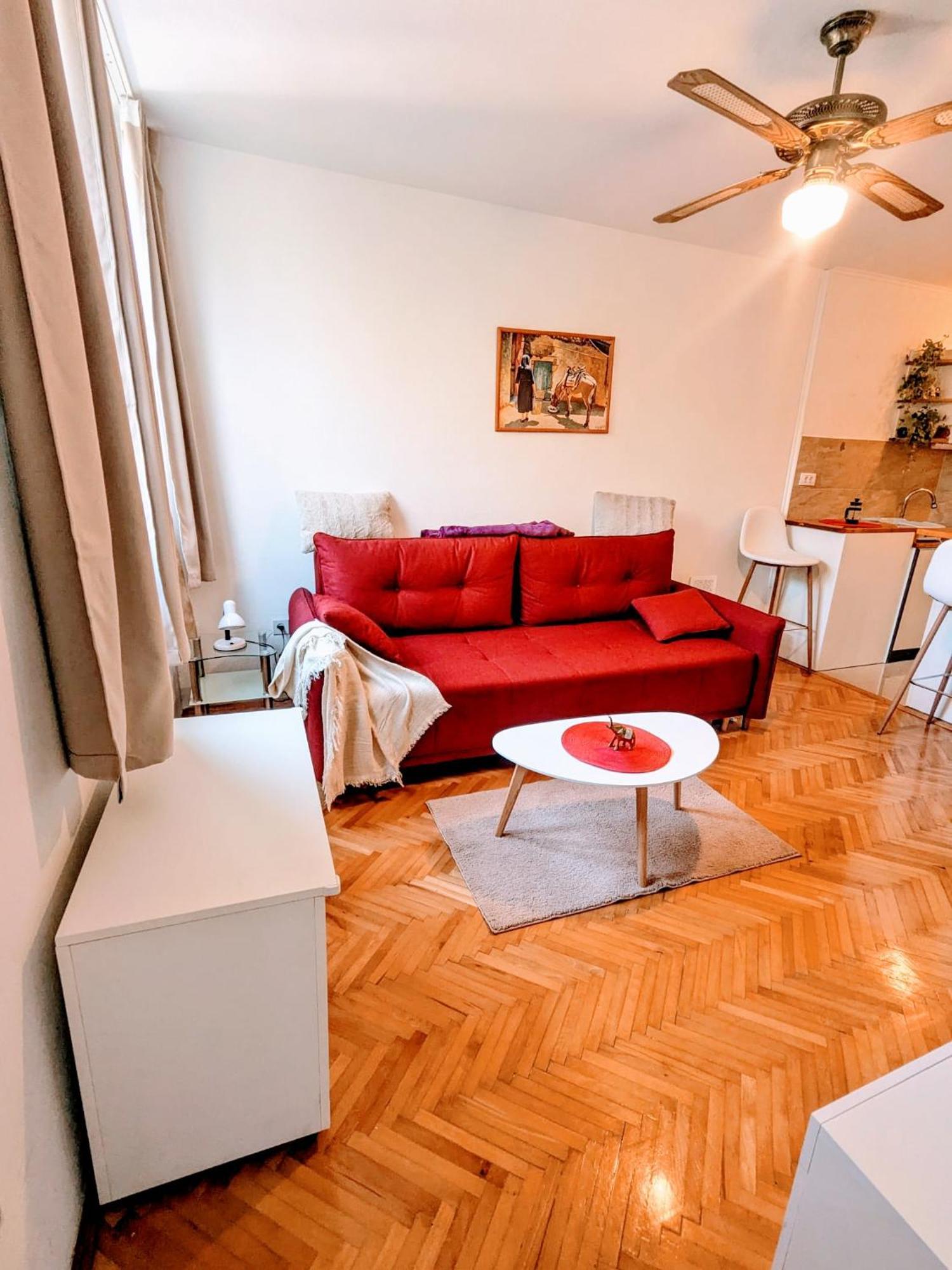 Demass Apartment - Cozy, Free Parking And Wifi 두브로브니크 외부 사진