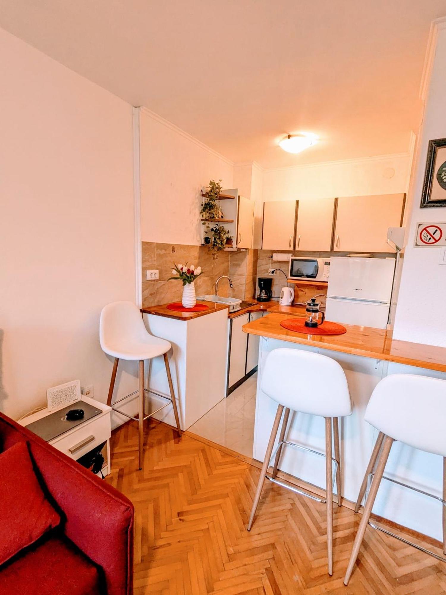 Demass Apartment - Cozy, Free Parking And Wifi 두브로브니크 외부 사진