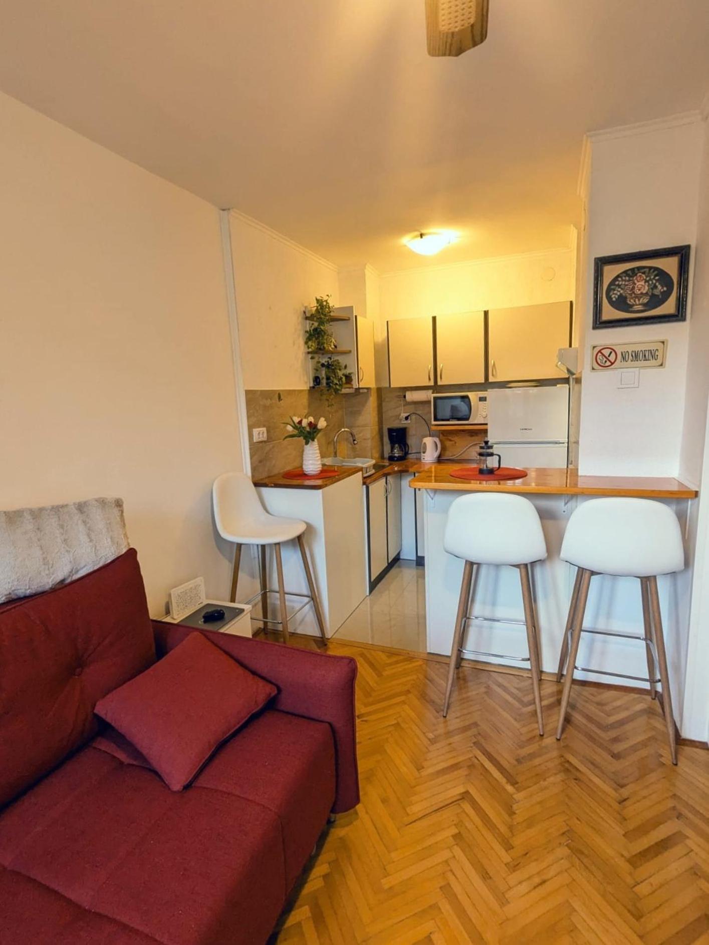 Demass Apartment - Cozy, Free Parking And Wifi 두브로브니크 외부 사진