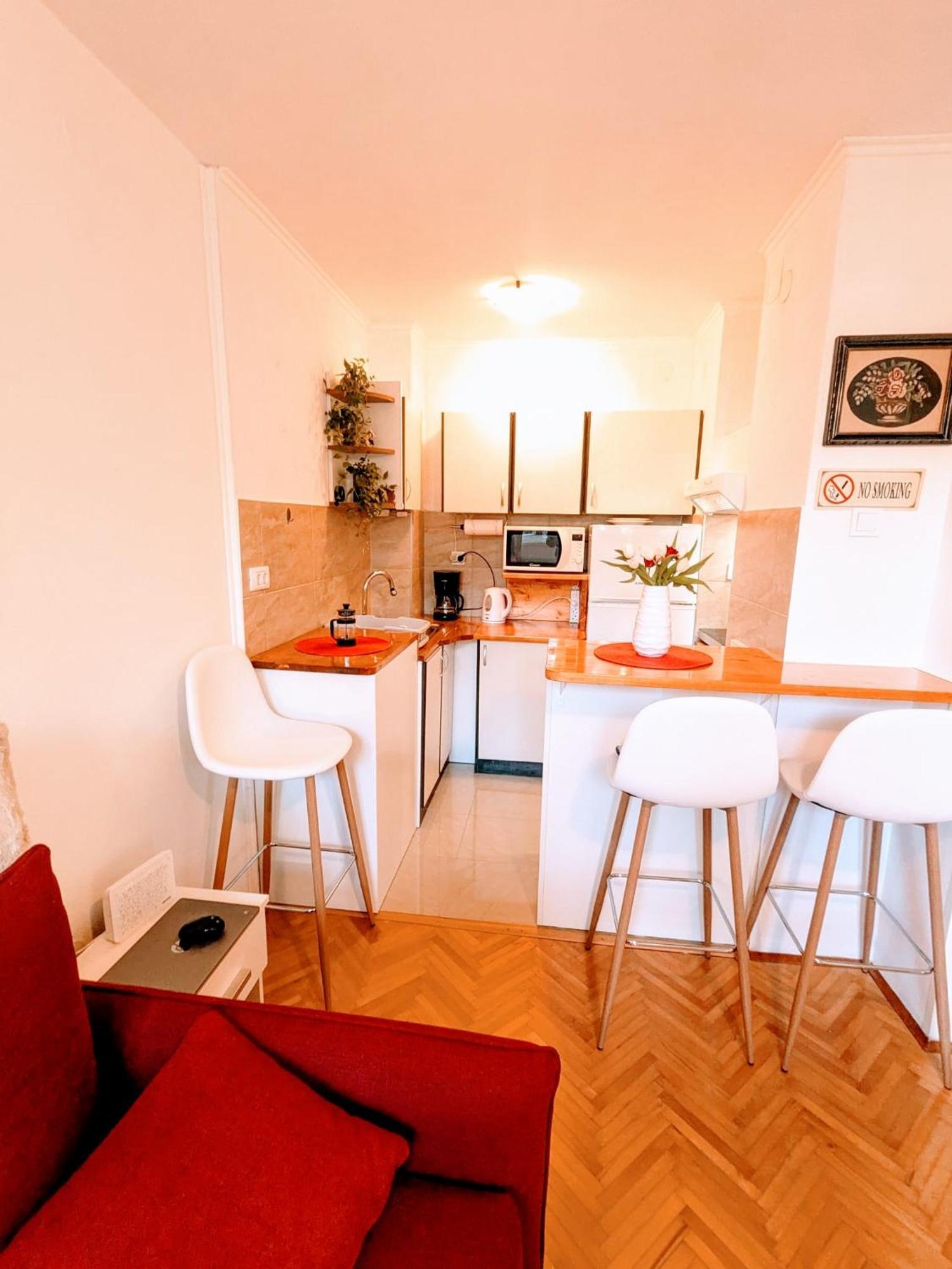 Demass Apartment - Cozy, Free Parking And Wifi 두브로브니크 외부 사진